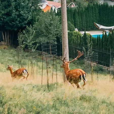 Guest house Balkan Valevtsi