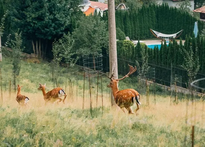 Konukevi Balkan Valevtsi